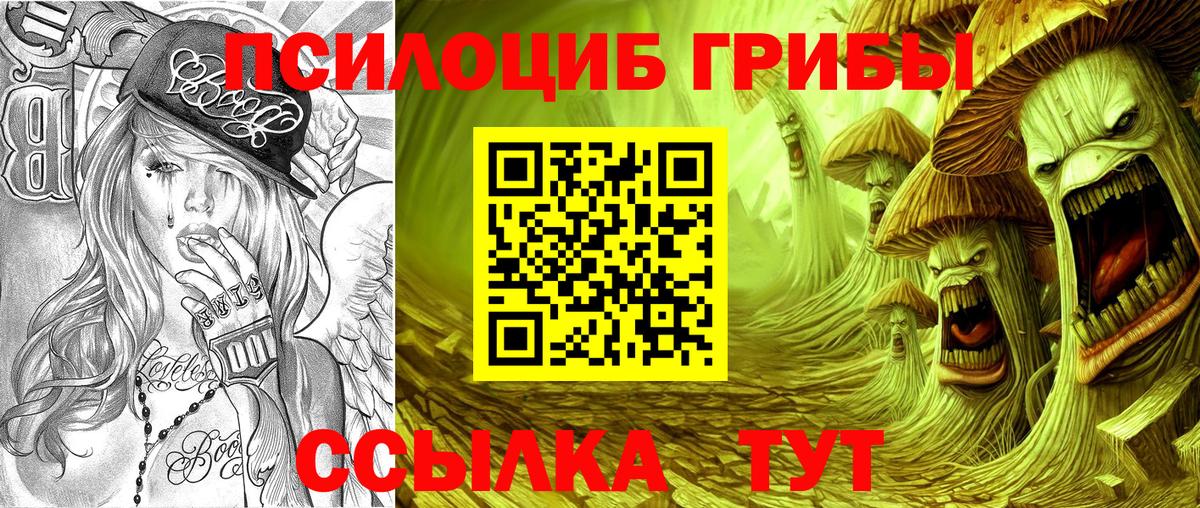 где продают   Галлюциногенные грибы ЛСД  Корсаков  Псилоцибиновые грибы GOLDEN TEACHER 