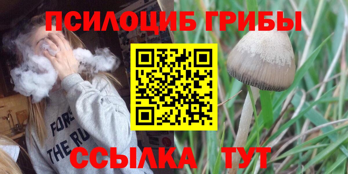 МЕФ   МДМА  Вход с VPN  Cocaine  Кетамин  МАРИХУАНА  Корсаков  ГАШИШ 
