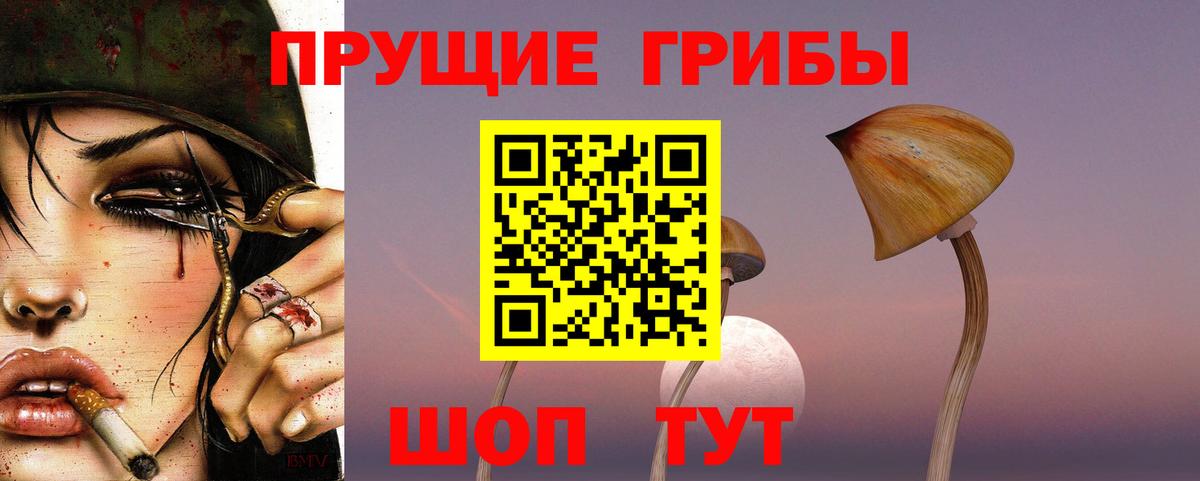 Псилоцибиновые грибы мицелий Корсаков