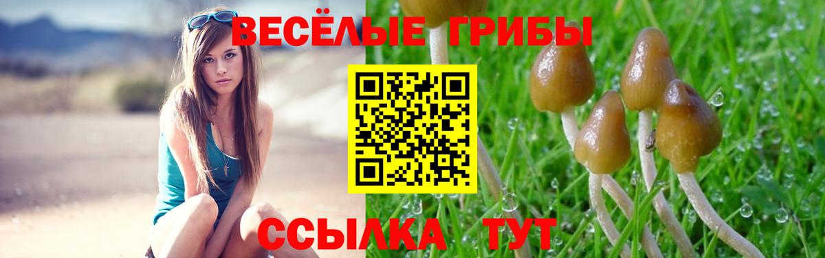 Псилоцибиновые грибы ЛСД  Вход с VPN  Корсаков  Псилоцибиновые грибы Cubensis 